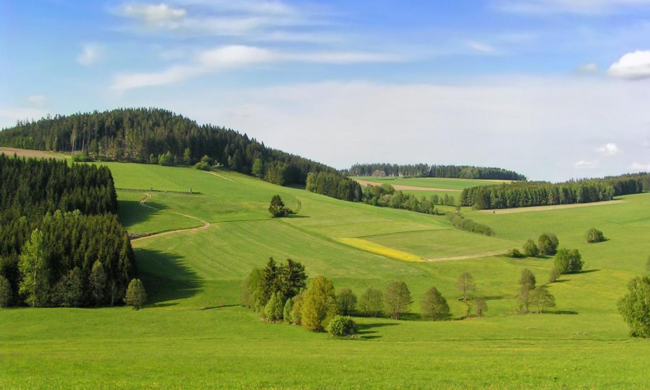 Hotel Brunnwald Bad Leonfelden Bagian luar foto