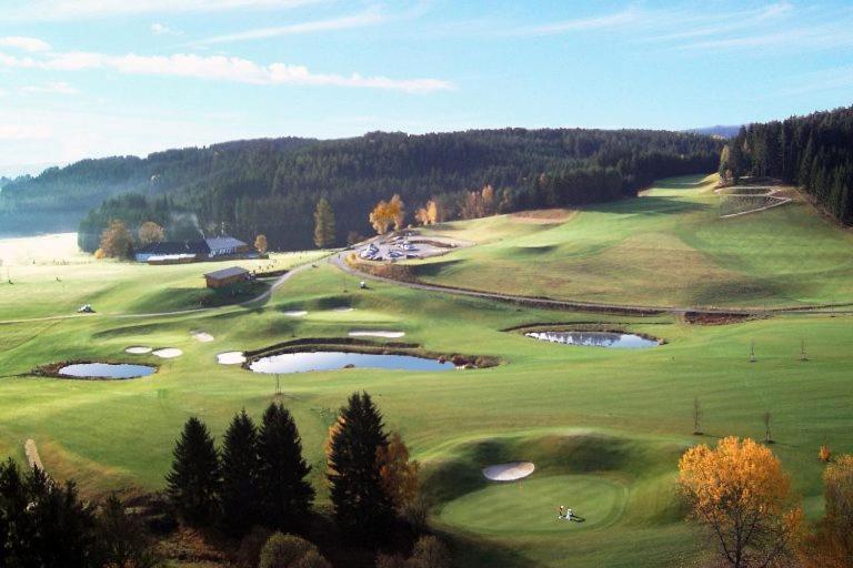 Hotel Brunnwald Bad Leonfelden Bagian luar foto